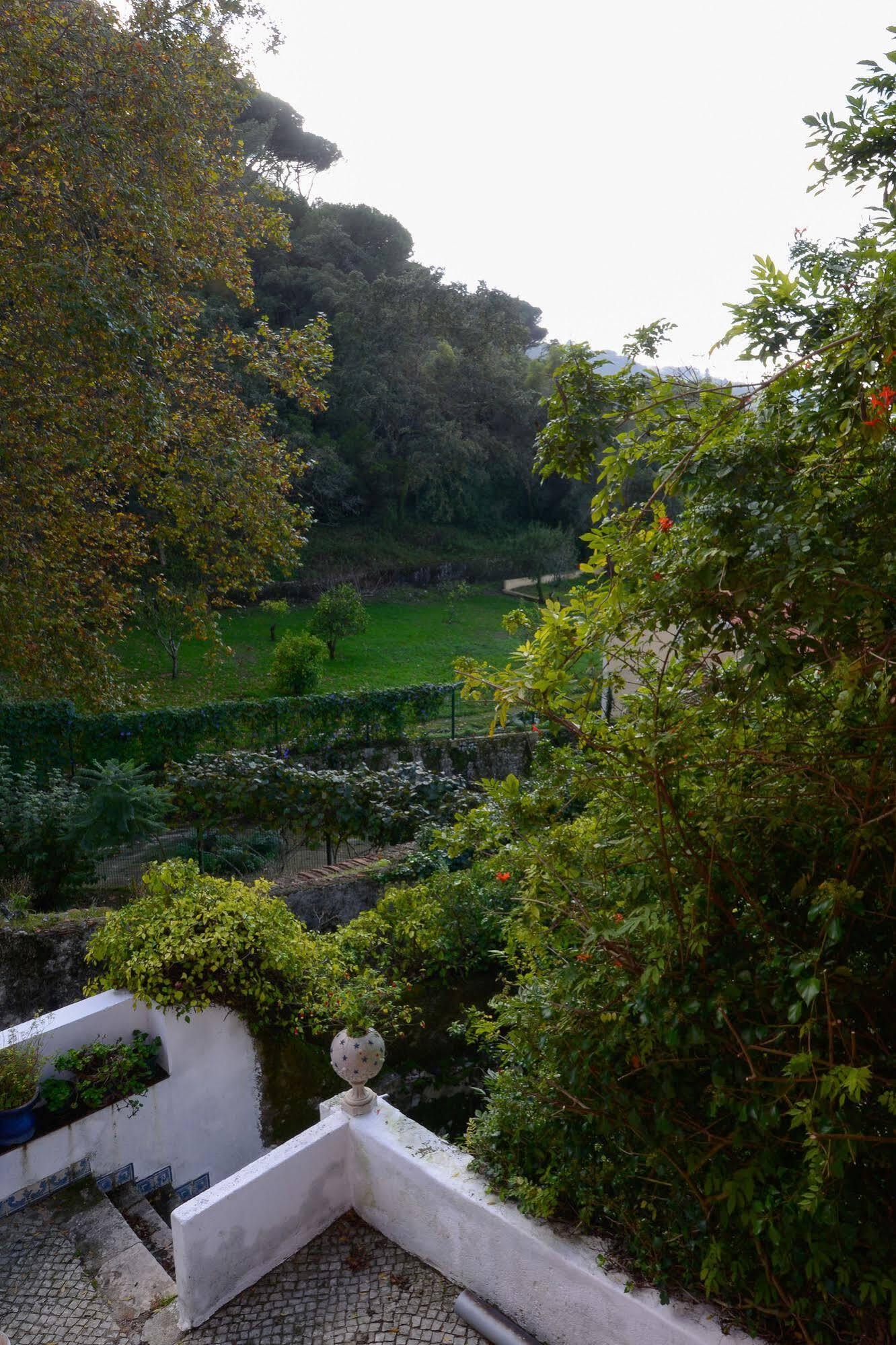 Quinta De Sao Tadeu Guest house 4*