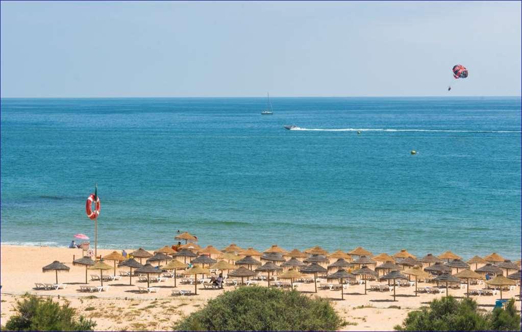 Gale Ampalius Hotel 4*