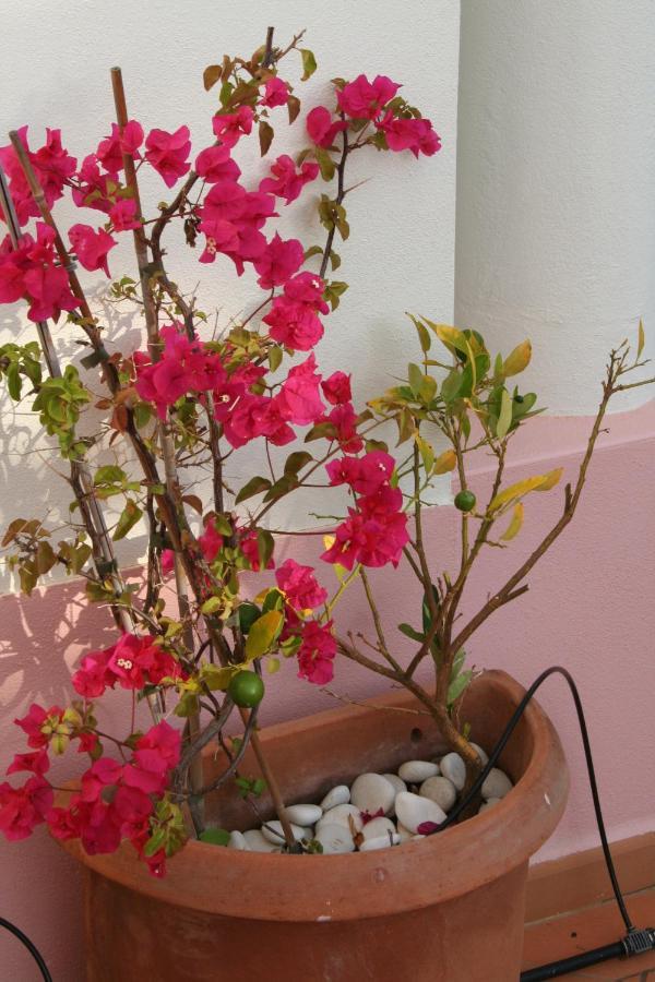 Modern Two Bedroom Poolside Townhouse Villa Budens