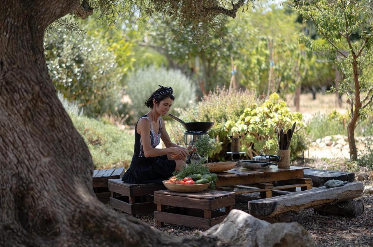 Agroturismo Casa Do Vale Da Lama Ecohotel & Retreat Centre In A Farm Odiáxere
