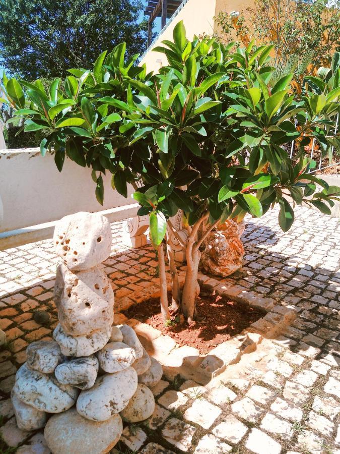 Quinta Dos Caracois