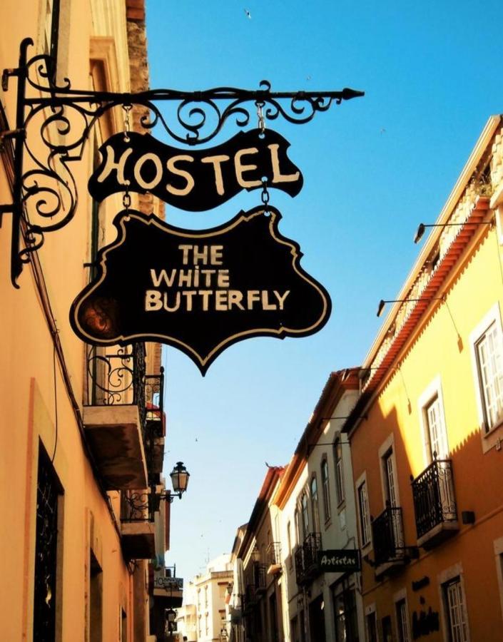 Albergue The White Butterfly *