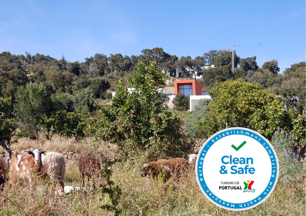 Vinha Do Gaio Farm stay