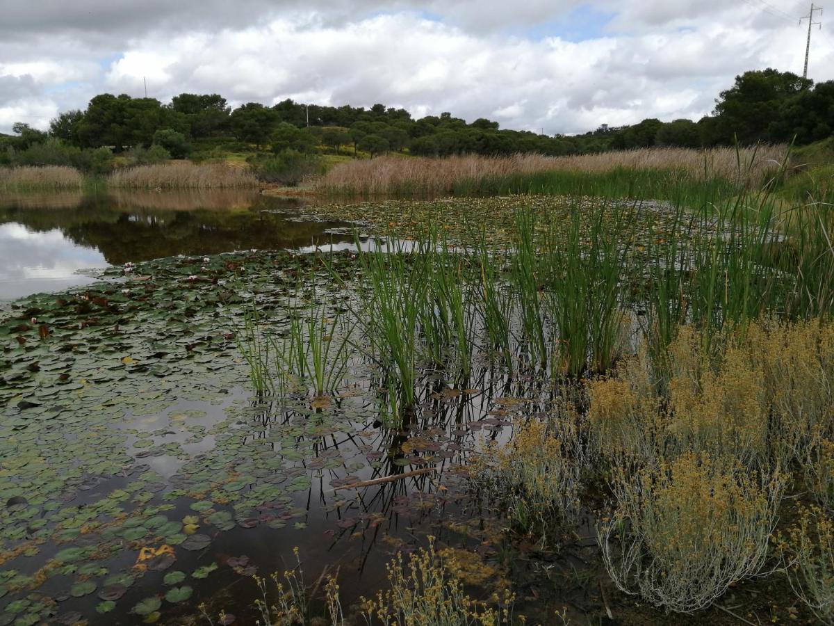 Quinta Da Fornalha - Santuario Agroecologico Vakantieboerderij Castro Marim