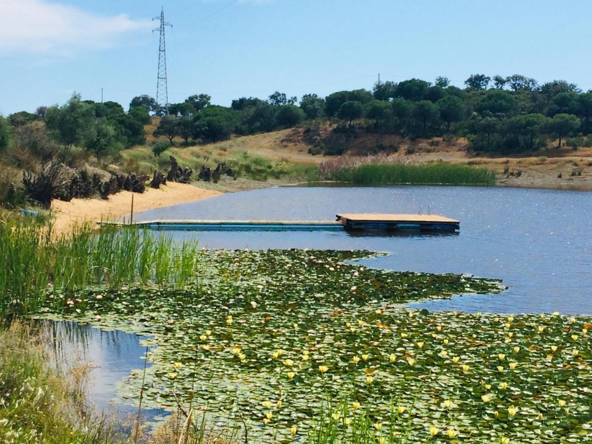 Quinta Da Fornalha - Santuario Agroecologico Vakantieboerderij *