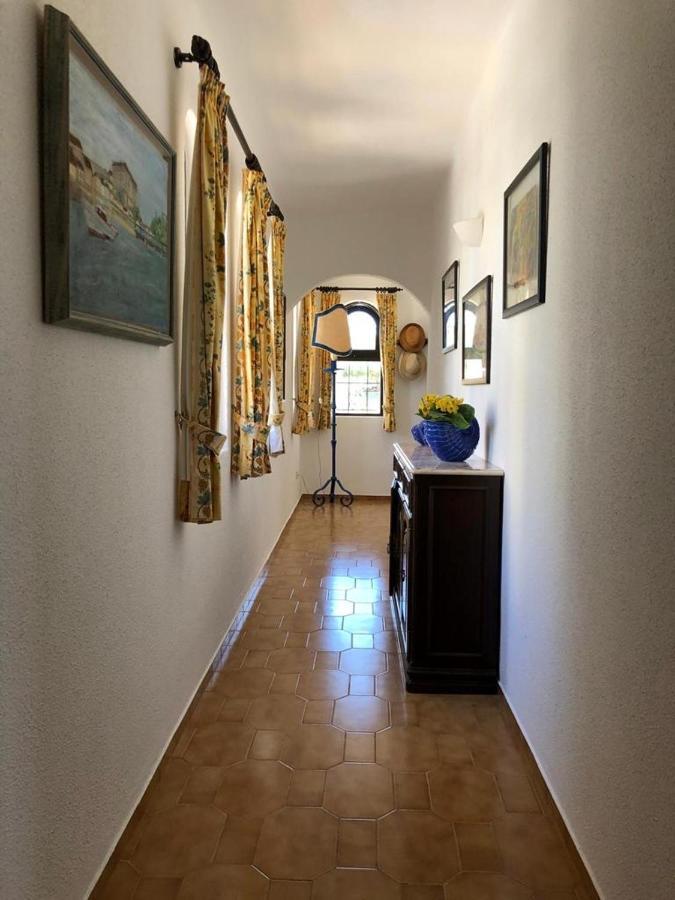 Casa Camelia