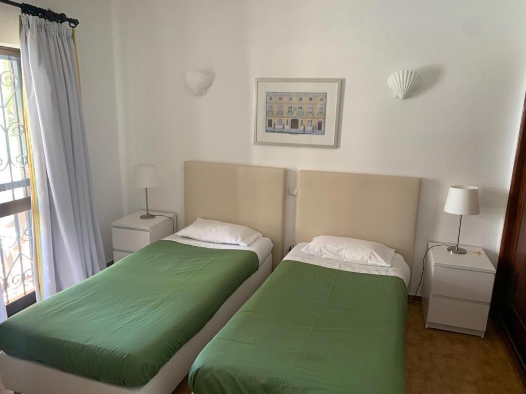 Casa Camelia