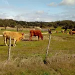 Retiro Da Madalena