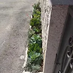 Casa Morgado