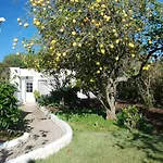 CASA BEACHCOMBER Le jardin des Arts