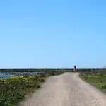 Amazing Windmillhouses