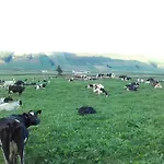 Vivenda Cinco Reis