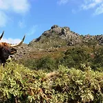 Beirais Do Alvao