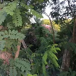 A Casa Amarela