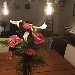 Casa Da Ovelha I Madeira