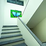 Room & Go By Lince