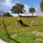 Quinta Da Saudade