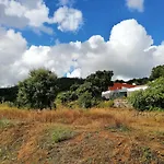 Vinha Do Gaio
