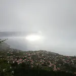 Lazy Lizard By The Ocean