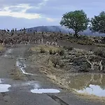 Aqui N\' Al-Deia