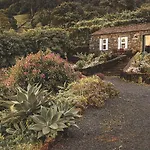 Adegas do Pico