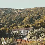 Adegas do Pico