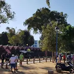 Estrelinha Da Fuzeta
