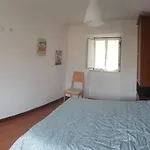Casinha Da Peneda