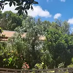 Nature Houses