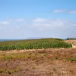 Sao Bernardino Beach House