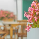 Comercial Boutique Guest House