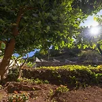 Solar Dos Reis By An Island Apart