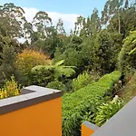 Casa Catarina