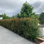Turismo Natureza Villa Rio