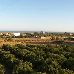 Casa Tipica No Campo