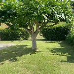 Moradia Rustica Jardim
