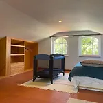 A House In The Woods
