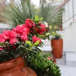 Casa Das Chães