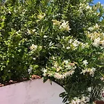 Genies Villa Boutique Algarve