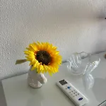 Apartment Algarve - Beach Front - Free Wifi - Air Con