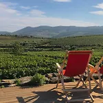 Casa dos Barros Winery Hotel by Vintage Theory