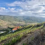 Quinta Da Penada - Vineyard & Winery - Suite 3
