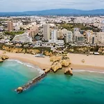 Lirios Amarelos