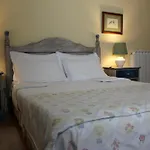 Casa Da Arvore