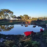 Monte Dos Vagabundos - Animal Sanctuary - Caravan Nest