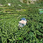 Casa dos Anjos