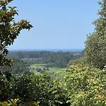 Lovely 6-Bed Cottage In Barcelos - Vila Cova