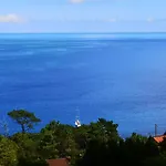 Adega Baia Azul - The Essence Of Pico