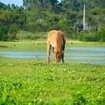 Herdade Monte Do Sol