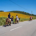 Burro Ville